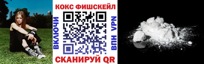 Купить закладки  Кувшиново  Кокаин FishScale 