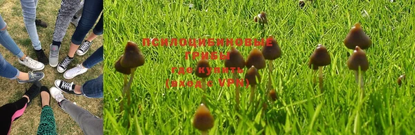 mdma Касимов