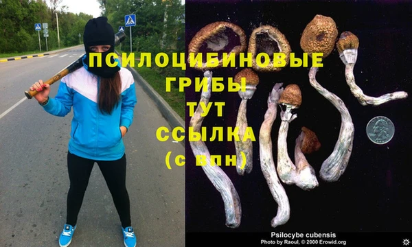 a pvp Карталы
