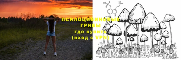a pvp Карталы